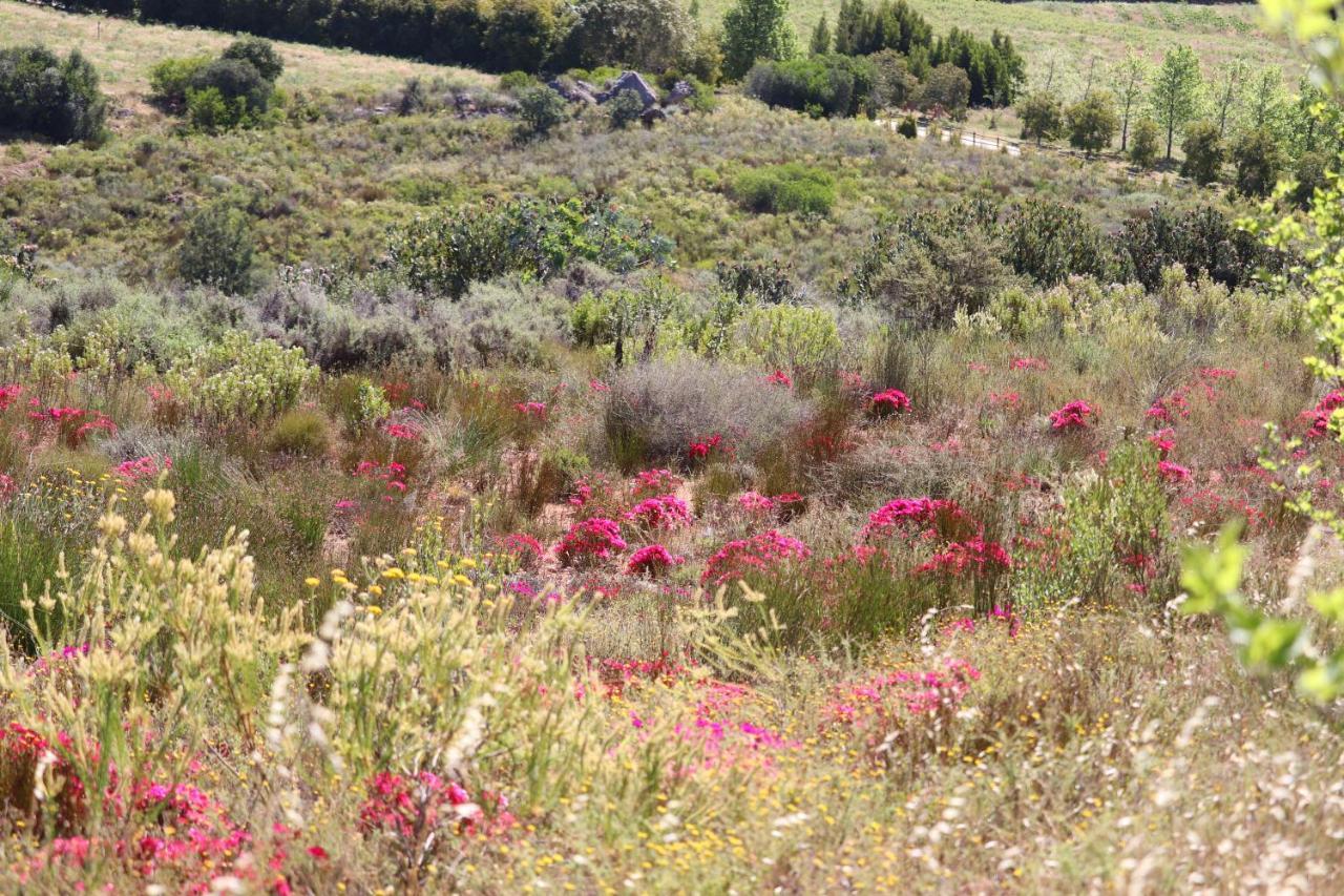 Hotel Highlands Eco Estate Piketberg Esterno foto