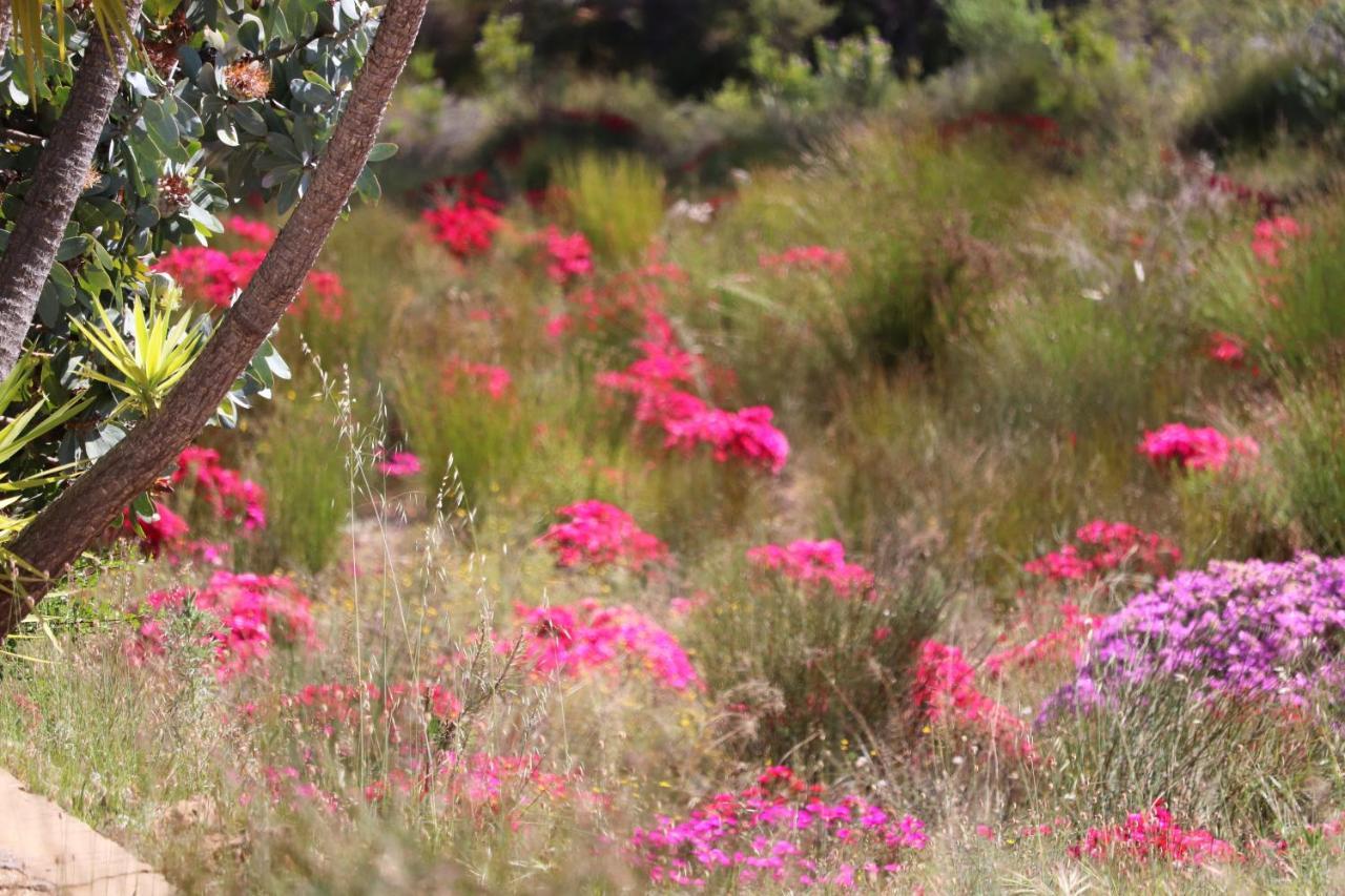 Hotel Highlands Eco Estate Piketberg Esterno foto