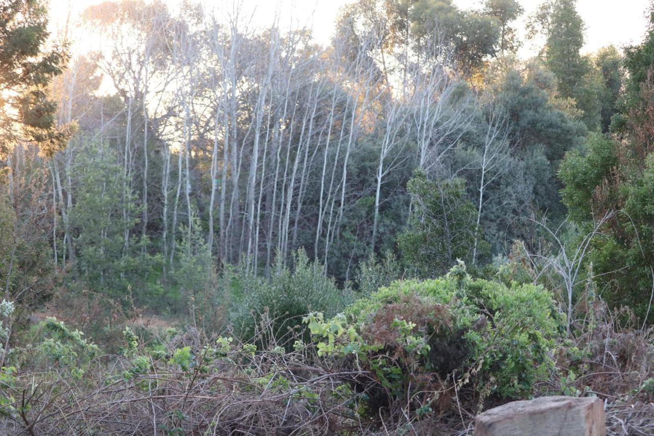 Hotel Highlands Eco Estate Piketberg Esterno foto
